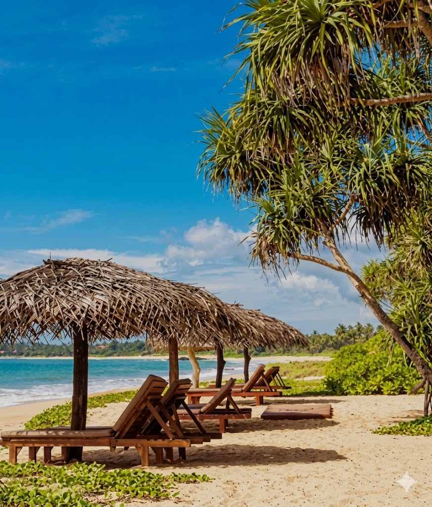 Honeymoon in Sri Lanka — Tarabay Travel